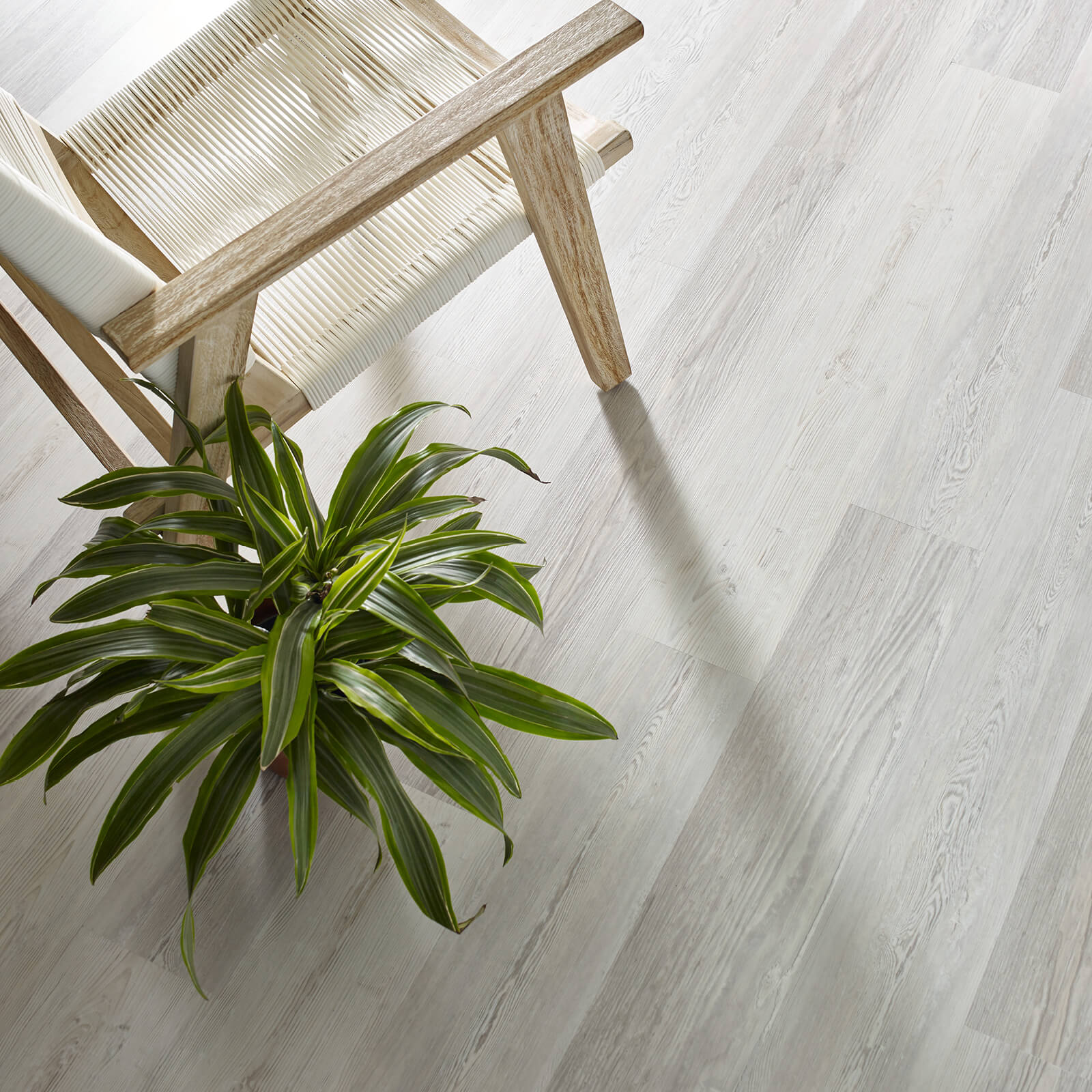 laminate with plant | Location Carpet And Flooring