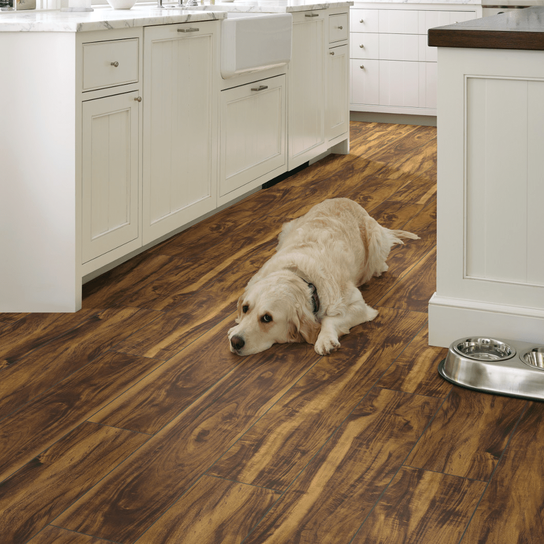 Pet friendly floor | Location Carpet And Flooring