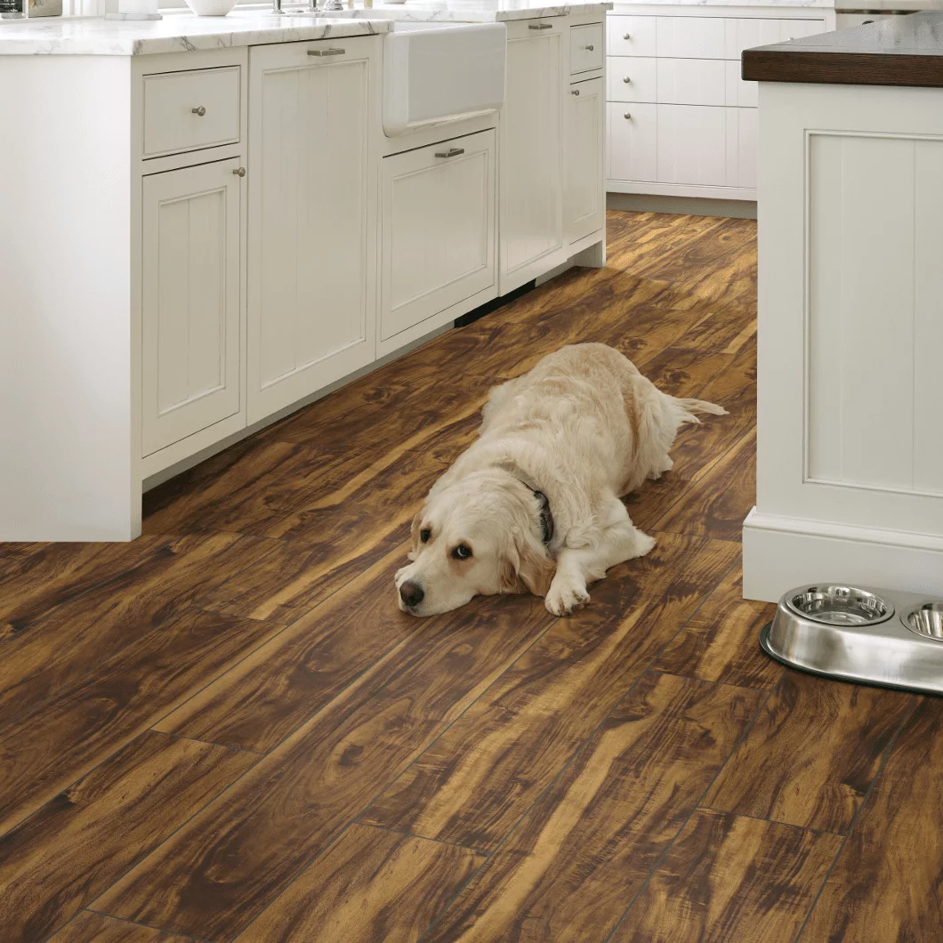 vinylcollection-min-square Pet friendly floor | Location Carpet And Flooring