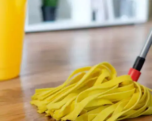 vinyl-daily-care Vinyl care | Location Carpet & Flooring